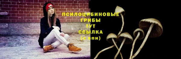 соль курить ск Михайлов