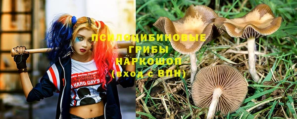 эйфоретик Михайловск
