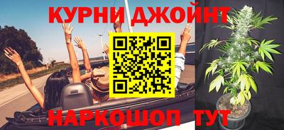 ешки Кингисепп