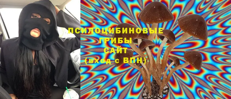 Псилоцибиновые грибы Magic Shrooms Новоалтайск