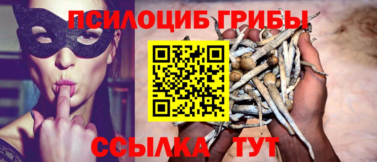 Псилоцибиновые грибы ЛСД Новоалтайск