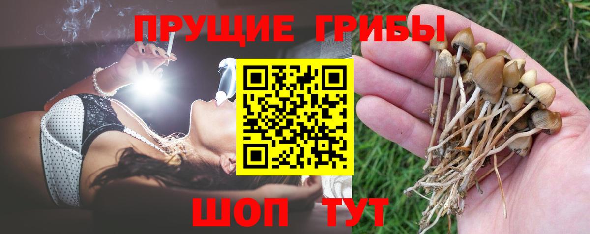 Галлюциногенные грибы GOLDEN TEACHER  Галлюциногенные грибы прущие грибы  Вход с VPN  Новоалтайск 