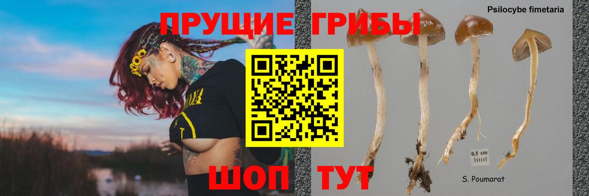 Галлюциногенные грибы MAGIC MUSHROOMS Новоалтайск